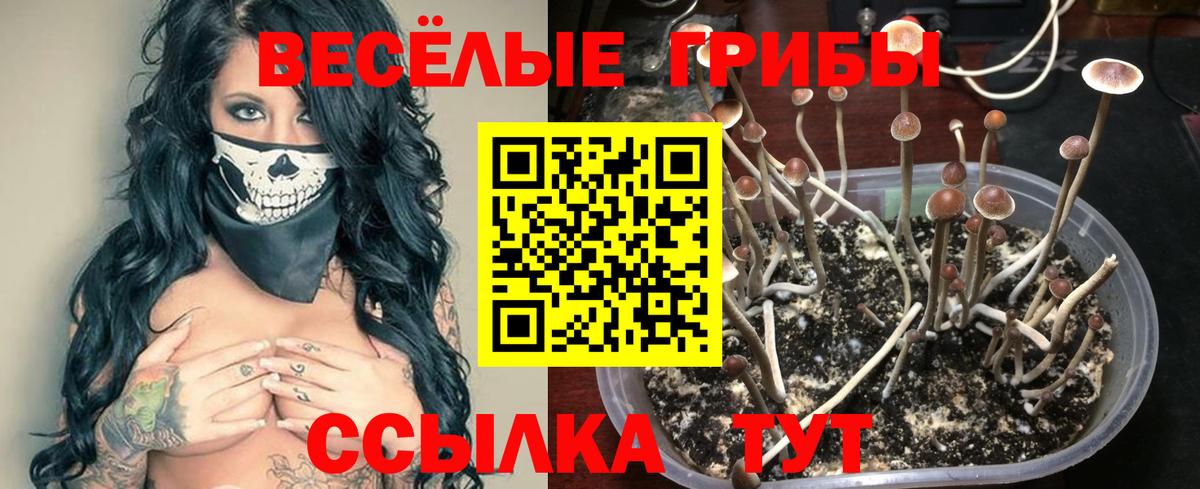 Псилоцибиновые грибы мухоморы Нарткала